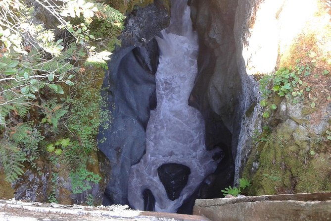 Mount Rainier Tour from Seattle - The Review Highlights