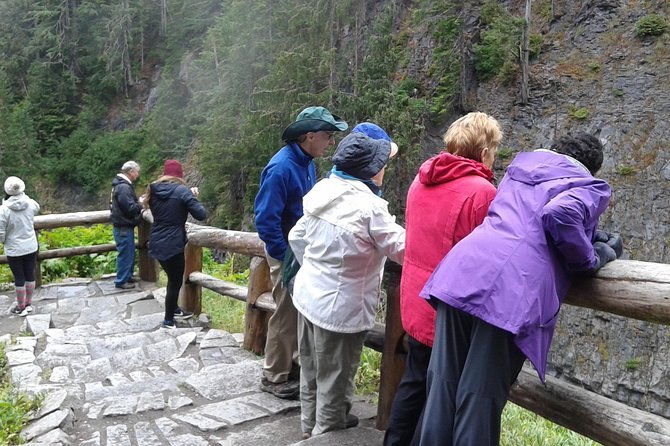 Mt Rainier Private Tour Experience in SUV - Who Is This Tour Perfect For?