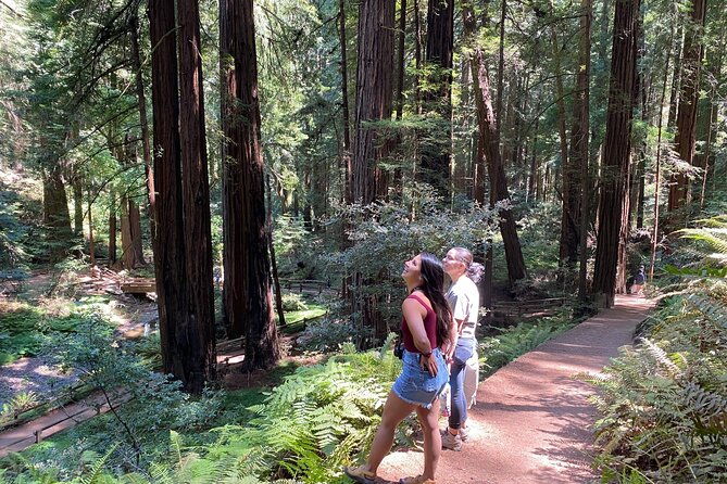 Muir Woods and Golden Gate Bridge 3-hour Private Group Tour - In The Sum Up