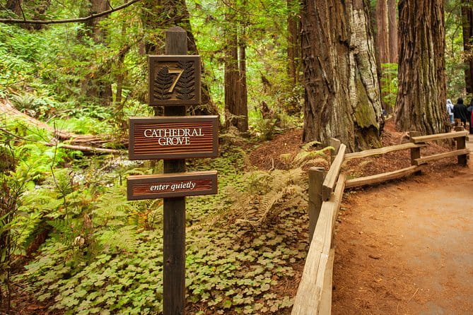 Muir Woods and Sausalito Tour Plus Bay Cruise - The Sum Up: Is This Tour Right for You?