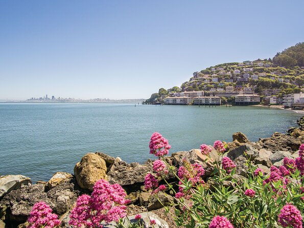Muir Woods & Sausalito Tour - Who Should Book This Tour?