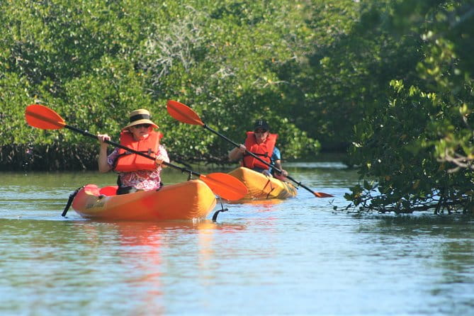 Nauti Exposures - Kayak rental Naples, FL - Who Will Love This Experience?
