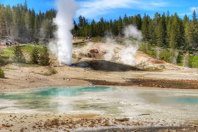 North Yellowstone Day Tour (Lamar Valley) Private Day Tour - Practical Considerations