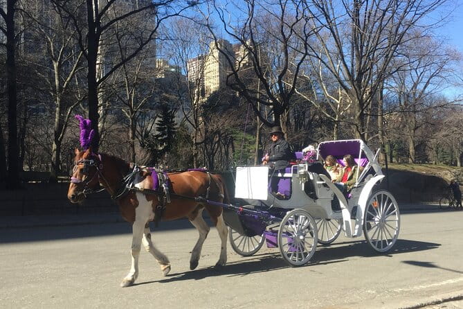 NYC Central Park Horse and Carriage Ride: Long Ride 45 min - Final Thoughts: Is the Central Park Horse and Carriage Ride Worth It?
