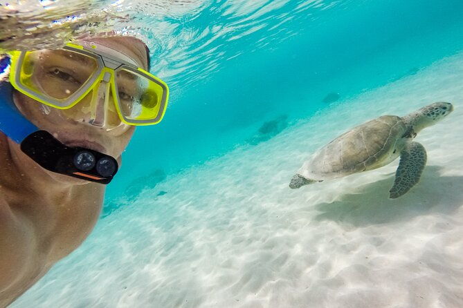 Oahu Coastline Cruise: Turtle Snorkeling and Jumping Platform - FAQ