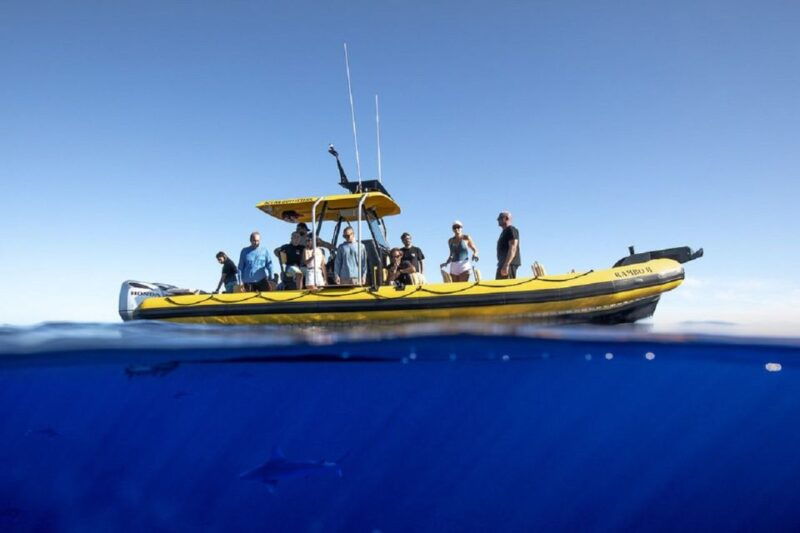 Oahu: North Shore Haleʻiwa: Private Boat Charter - Who Will Love This Tour?