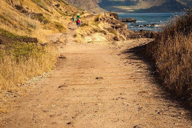 Oahu Personalized Private Tour - Final Thoughts