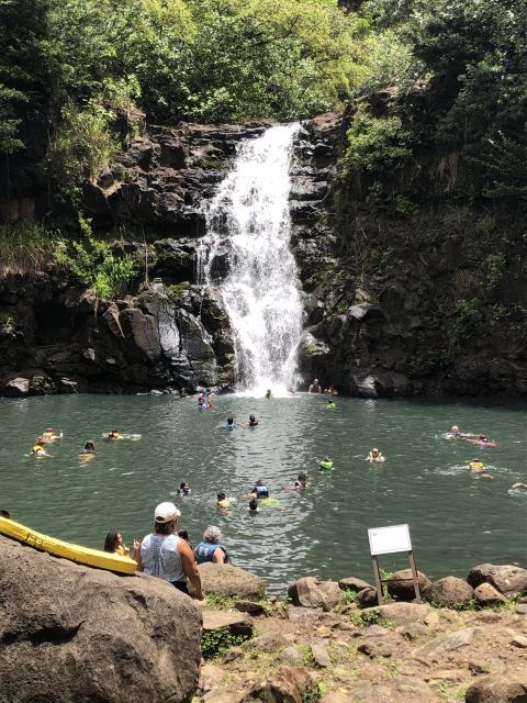 Oahu: Waimea Falls & valley & North Shore day - Who Will Love This Tour?