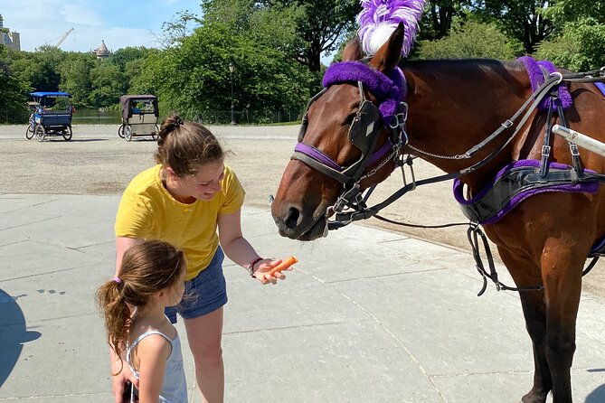 OFFICIAL NYC Central Park Horse Carriage Rides - FAQ