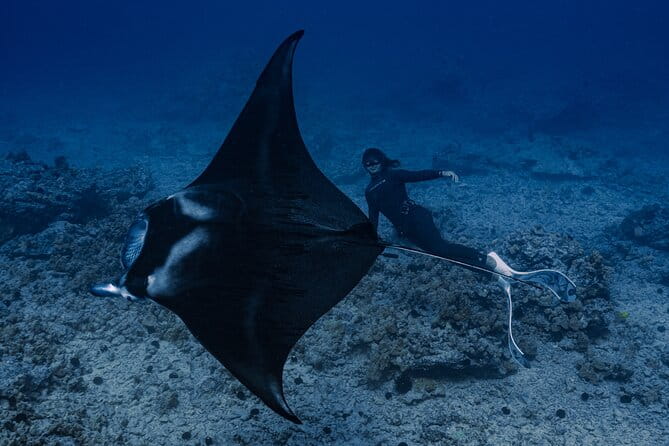 Offshore Safari Adventure in Kona with Underwater Videos - FAQ