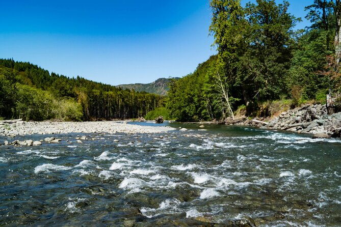 Olympic National Park Self-Guided Driving Audio Tour - The Sum Up