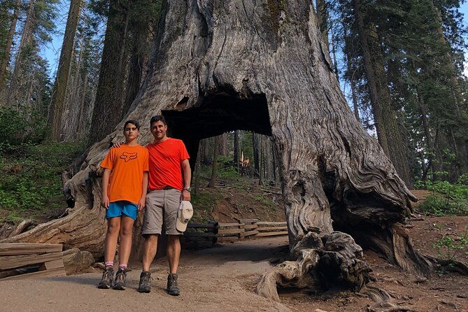 One Day In Yosemite Private Tour:Yosemite Valley, Glacier Point & Giant Sequoias - FAQ