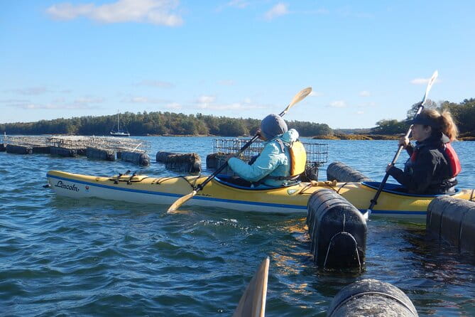 Oyster Farm & Complimentary Tasting Sea Kayak Tour in Casco Bay - Authentic Insights from Traveler Reviews