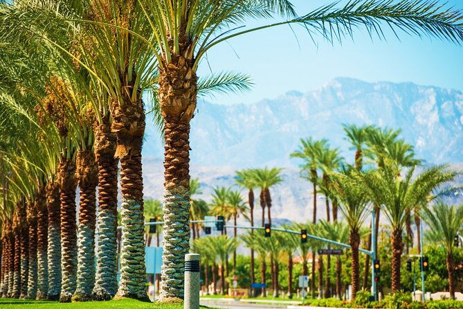 Palm Springs and Joshua Tree Self-Guided Driving Audio Tours - Who Should Consider This Tour?