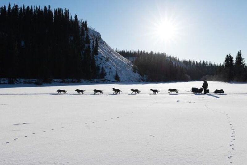 Palmer: "Dogs and Glaciers" Sledding and Helicopter Tour - The Sum Up