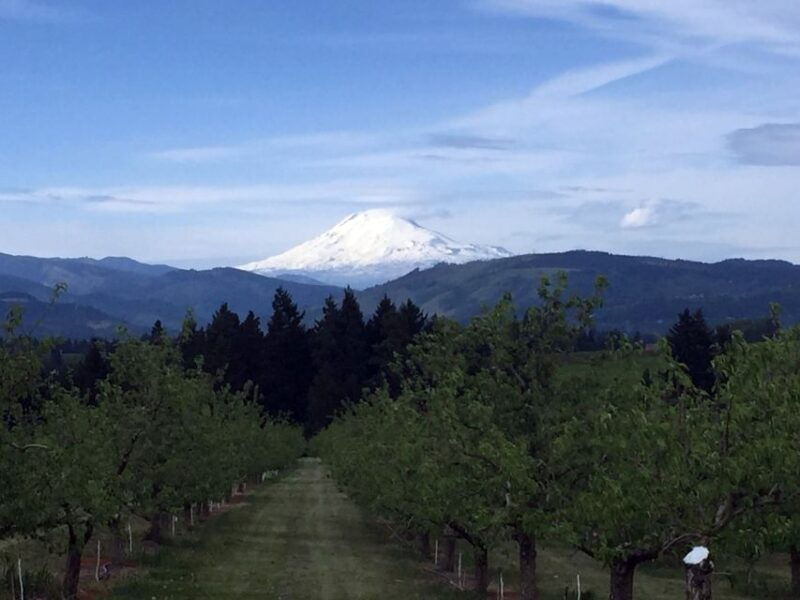 Portland: Mount Hood Wine and Waterfalls Full-Day Tour - FAQ