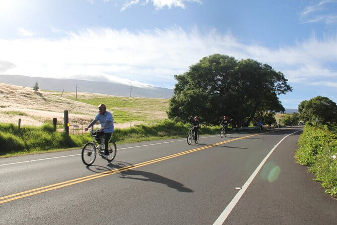 Predawn-Morning Haleakala Bike Tour 6,500 to Sea Level - Final Thoughts