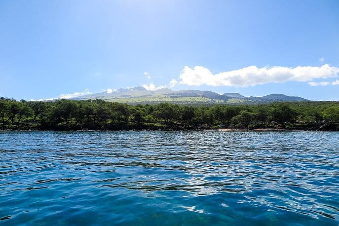 Private Beginner Paddleboard Lesson with Snorkel in Turtle Town - The Sum Up