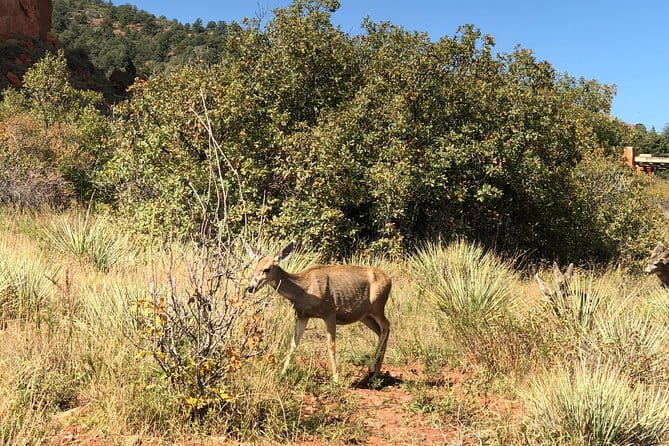 Private Colorado Springs Tour: Garden of the Gods and Pikes Peak - Who Should Consider This Tour?