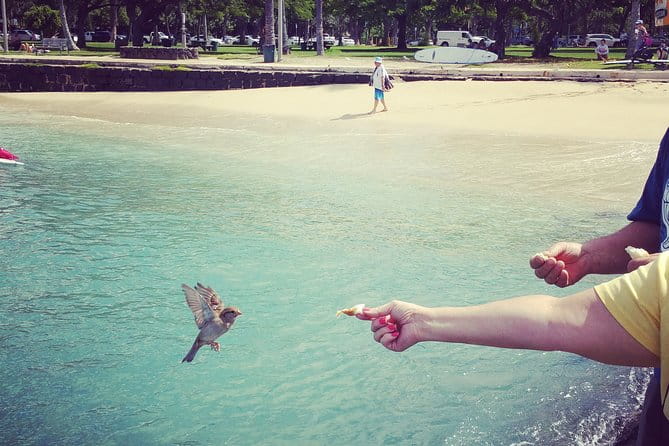 Private Dole,Garlic Shrimp,Haleiwa,North Shore Customizable tour - Who Will Love This Tour?