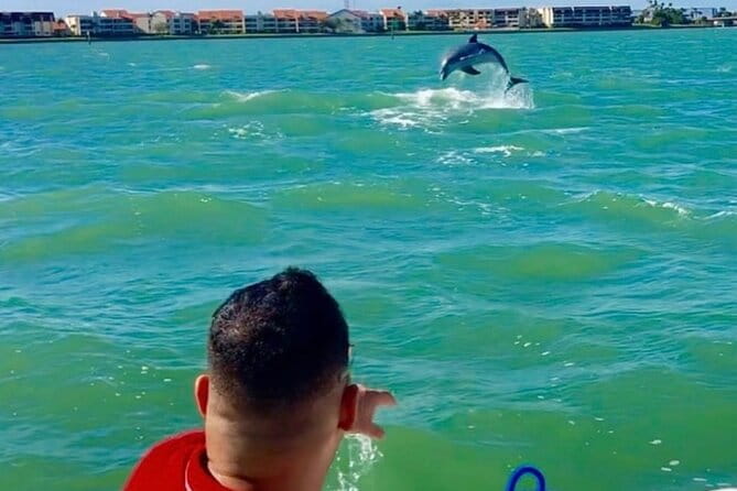 Private Dolphin & Architecture Tour in St. Petersburg, Fl - FAQ