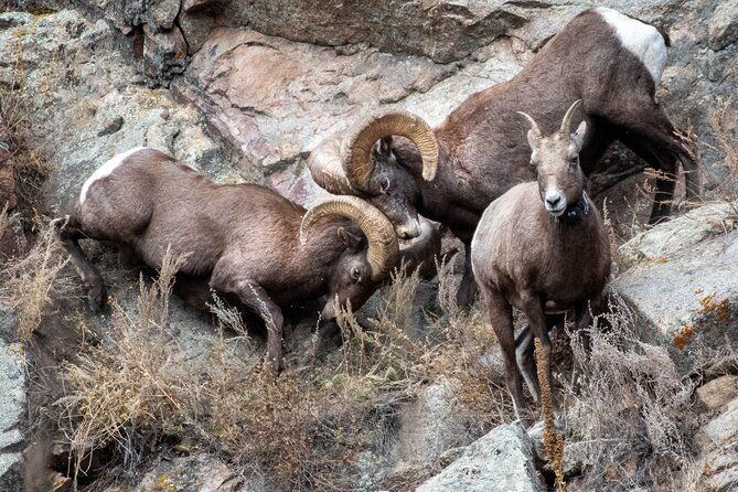 Private Geology Tour in Rocky Mountain National Park - Final Words