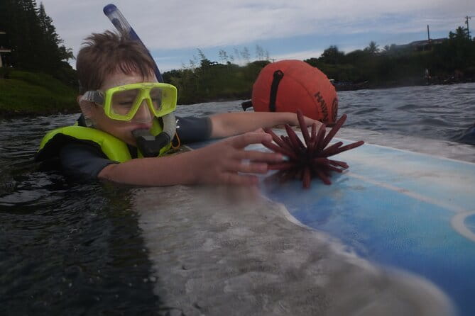 Private Group Snorkel Adventure on Tropical Reef with Sea Turtles - Final Thoughts
