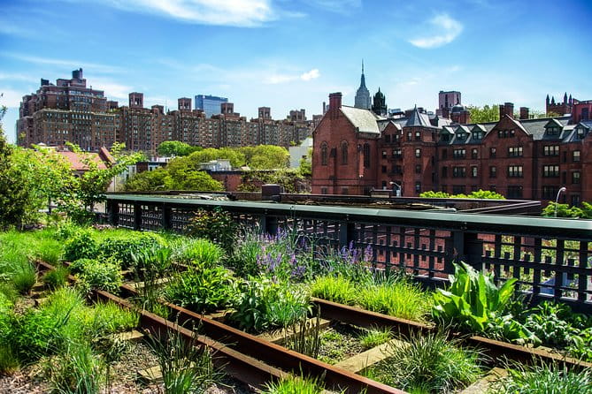 Private Meatpacking District, Chelsea Market, and The Highline Walking Tour - Practicalities and Value