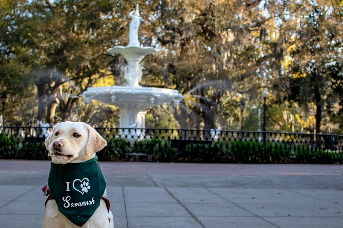 Private Photoshoot in Savannah, GA - Practical Details and Considerations
