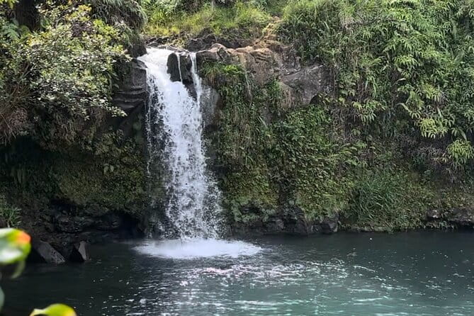 Private Road to Hana Maui Open-Air Jeep Tour - Who Will Love This Tour?