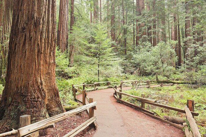 Private San Francisco City Tour and Muir Woods with Sausalito - Who Is This Tour Best For?