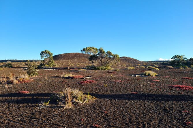 Private Tour of Hawaii Volcanoes National Park - Frequently Asked Questions