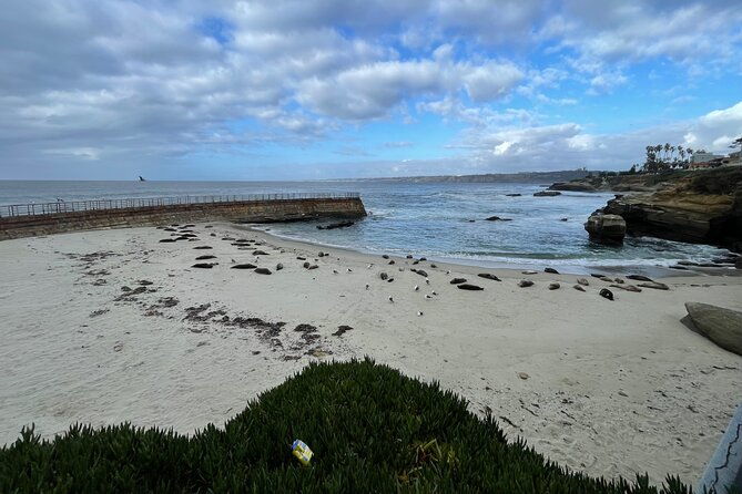 Private Tour of San Diego in a Lexus ES300 Hybrid - Cabrillo National Monument with a View