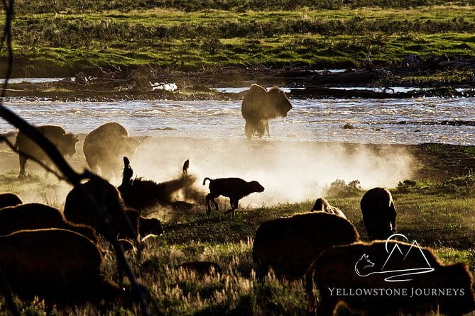 Private Yellowstone Journey from Gardiner, MT - Final Thoughts