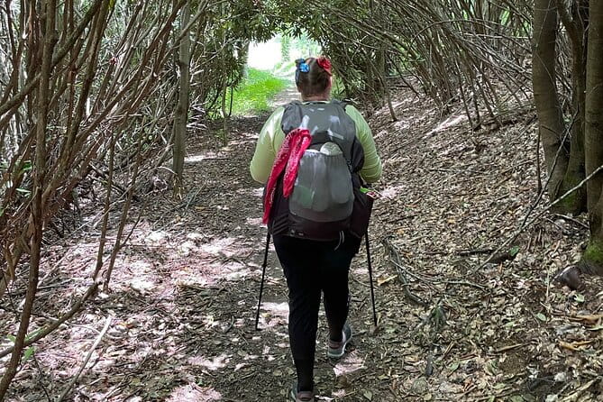 Privately Guided Full Day Hike - Who Will Love This Tour?