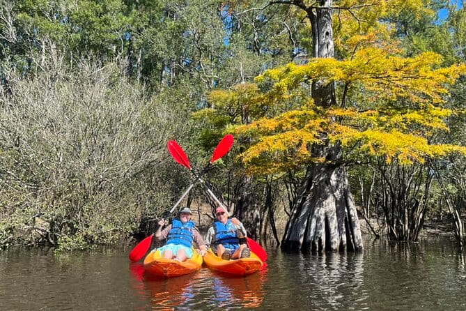 River Tubing & Kayaking - A Closer Look at the Amenities and Environment