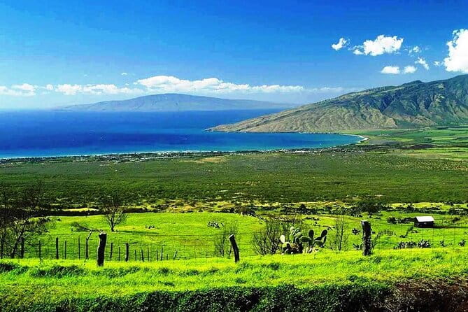 Road to Hana Private Jungle Tour with Lahaina Side pick up - The Sum Up