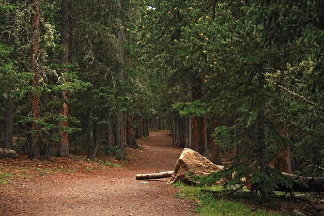 Rocky Mountain Escape - Private Tour - The Value Proposition: How Does It Stack Up?
