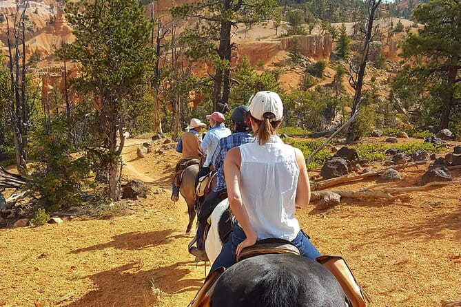 Ruby's Horseback Adventures Utah Thunder Mt. 4 Hour Ride - Who Will Love This Experience?