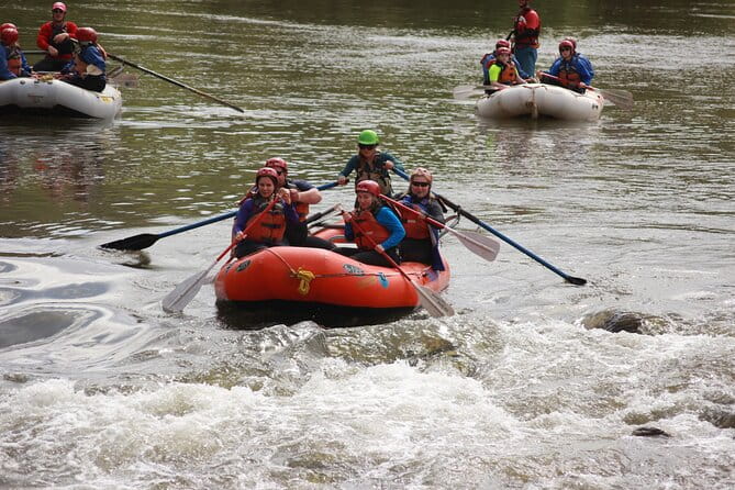 Salt River Half-Day Whitewater Rafting Adventure - The Logistics: Price, Duration, and Practicalities