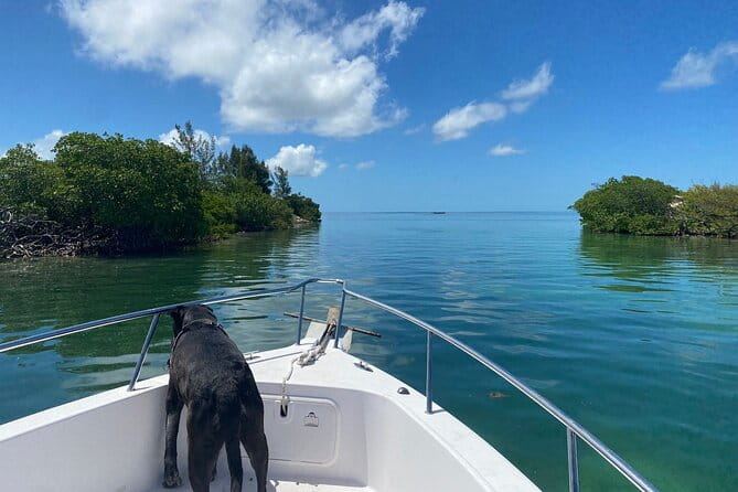 Sandbar Snorkel in the backcountry of Key West - FAQ: Your Questions Answered