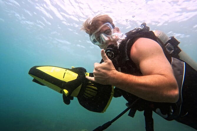Scuba Diving in Maui with No Experience Needed - Pricing and Value
