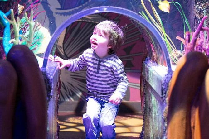 SEA LIFE Aquarium Grapevine Admission Ticket - Practical Considerations