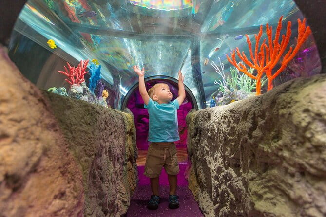 SEA LIFE Aquarium Minnesota Admission Ticket at Mall of America - What Visitors Say