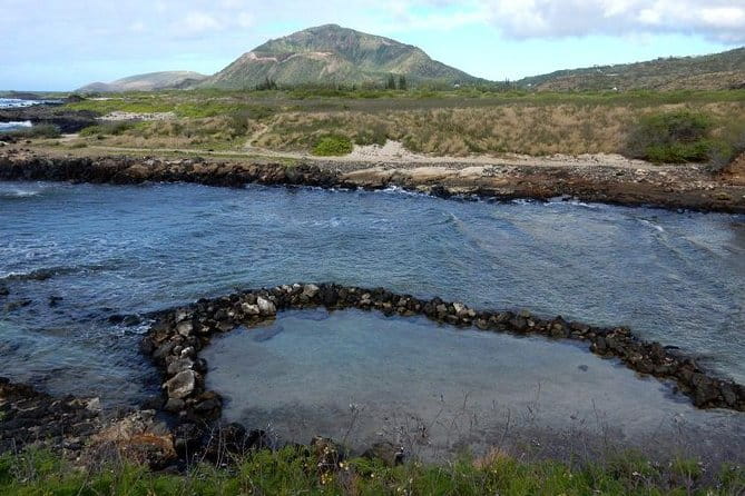 Secret Oahu Hawaii Culture Tour With A Local Guide - Who Would Love This Tour?