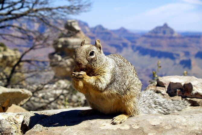 Sedona to Grand Canyon Explorer Voyage; Small Group Tour - Final Thoughts: Who Will Love This Tour?