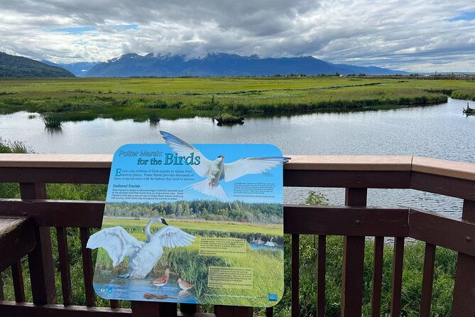 Seward to Anchorage transfer with National Park hike and AWCC - The Sum Up: Is It Worth It?