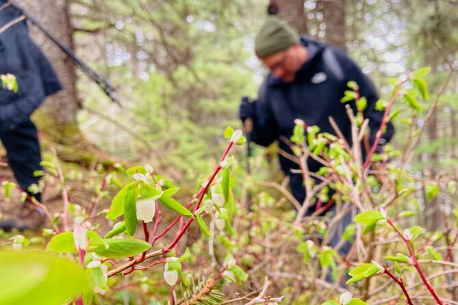 Seward Wilderness Hiking - Practical Advice