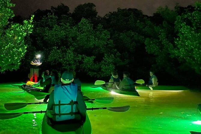 Sharkey's Glass Bottom Fish Feeding LED Night Tour in Sarasota - Reviews: Authentic Perspectives