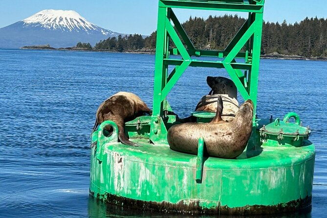 Small Group Boat Tour of Sitka - The Practical Side: Price, Duration, and Booking